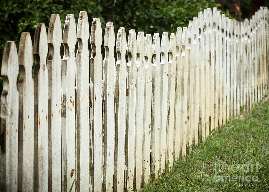 Weathered Fence Photograph by Todd Blanchard