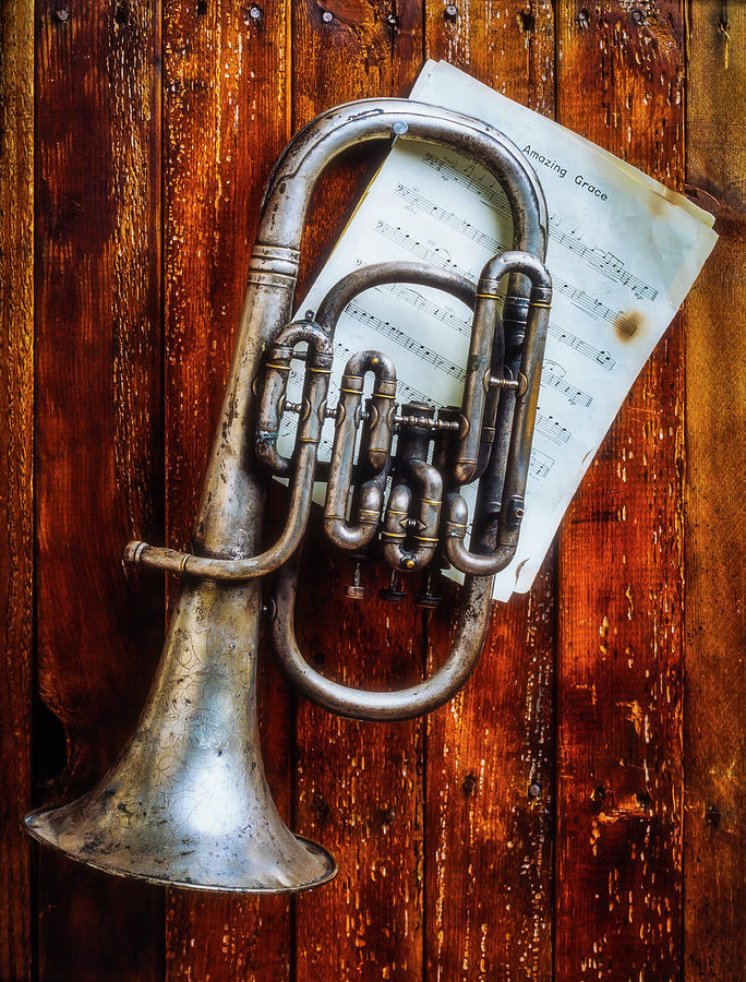 Weathered Flugel Horn Photograph by Garry Gay