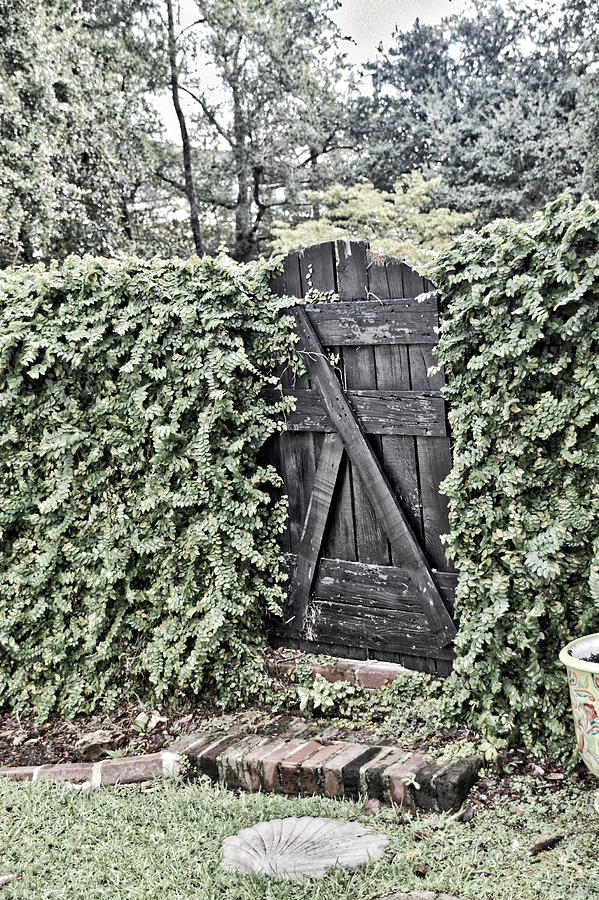 Weathered Gate Photograph by Linda Brown