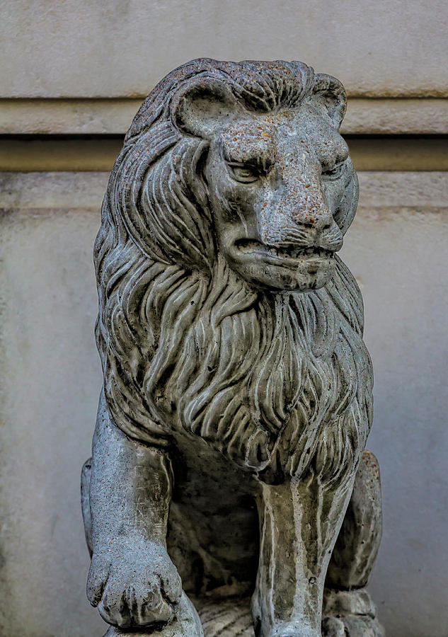 Weathered Lion Statue Photograph by Robert Ullmann