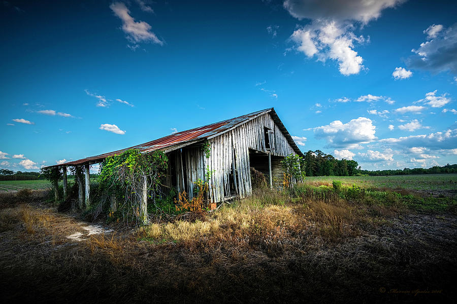 Weathered Photograph by Marvin Spates