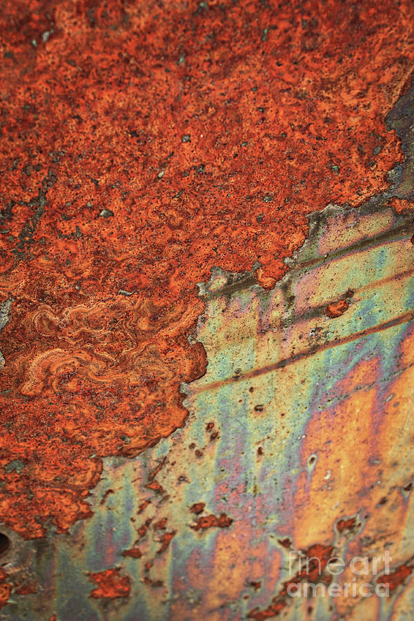 Weathered Metal Oxidation Photograph by Carol Groenen