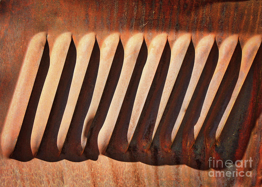 Weathered Metal Vents Photograph by Carol Groenen