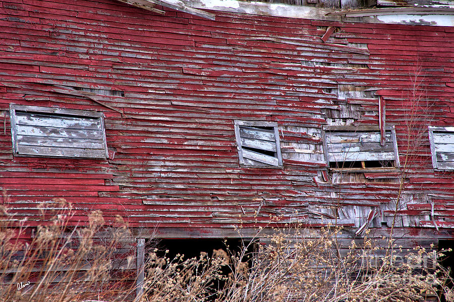 Weathered Old Barn Photograph by Alana Ranney