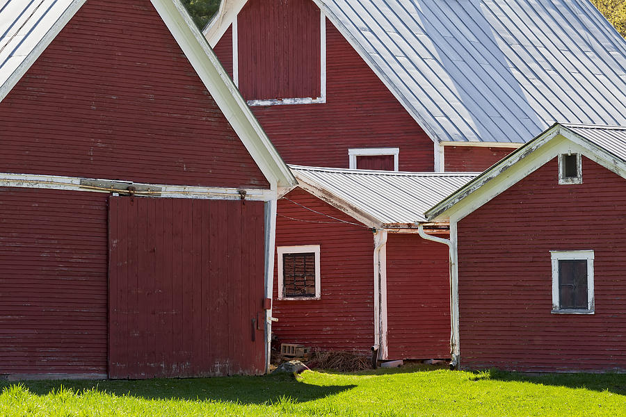 Weathered Red Barns Photograph by Alan L Graham