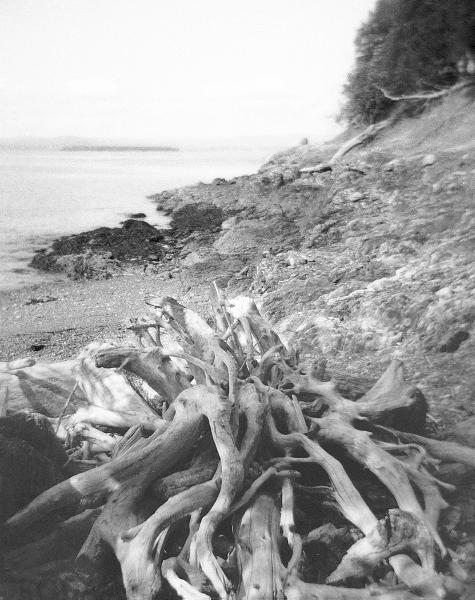 Weathered Remains Photograph by Paul Aiello - Fine Art America