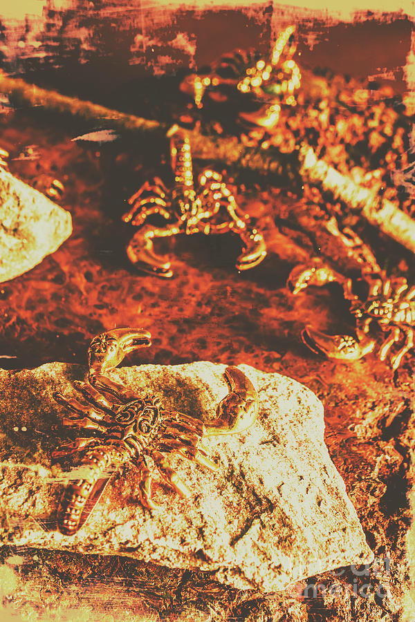Weathered scorpion art Photograph by Jorgo Photography