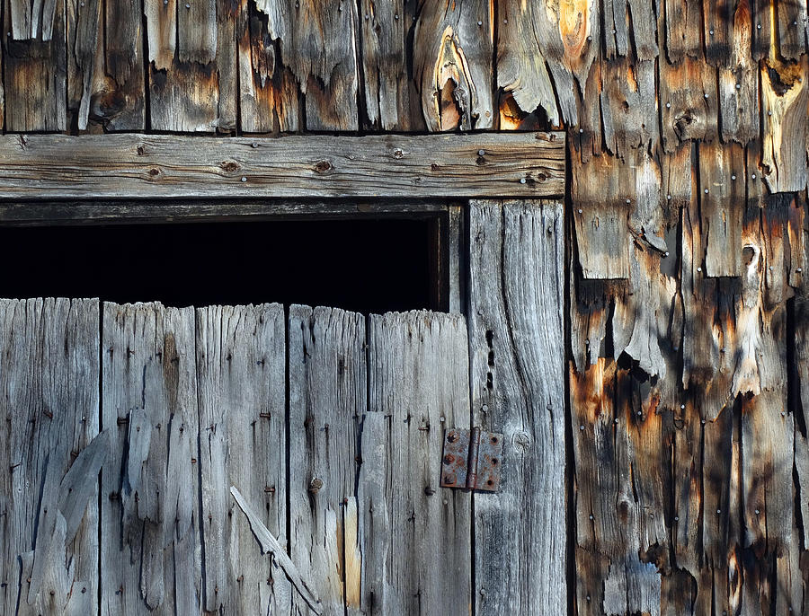 Weathered Shed Detail Photograph by David T Wilkinson
