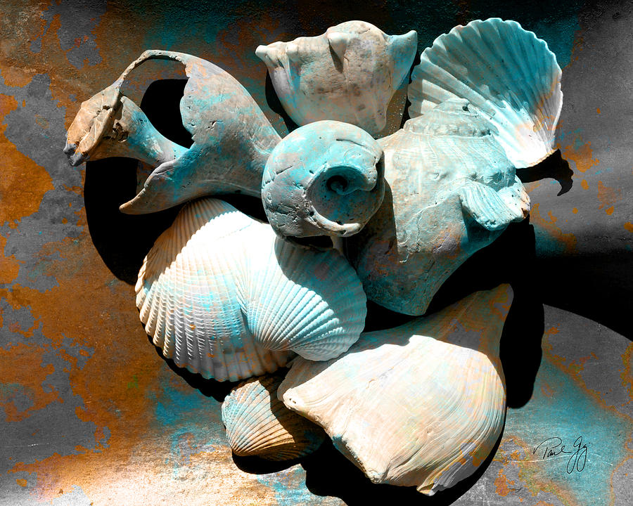 Weathered Shells No. 1 Digital Art by Paul Gaj