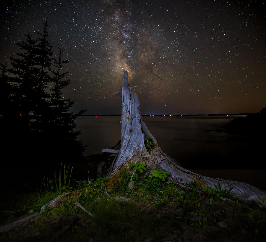 Acadia National Park Photograph - Weathered Stump under the stars by Brent L Ander