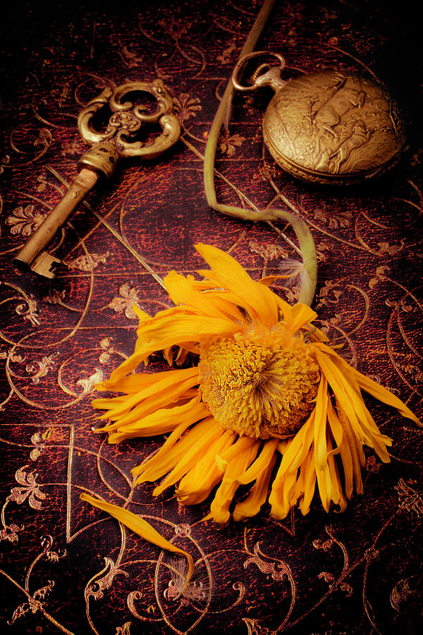Weathered Sunflower With Gold Key Photograph by Garry Gay