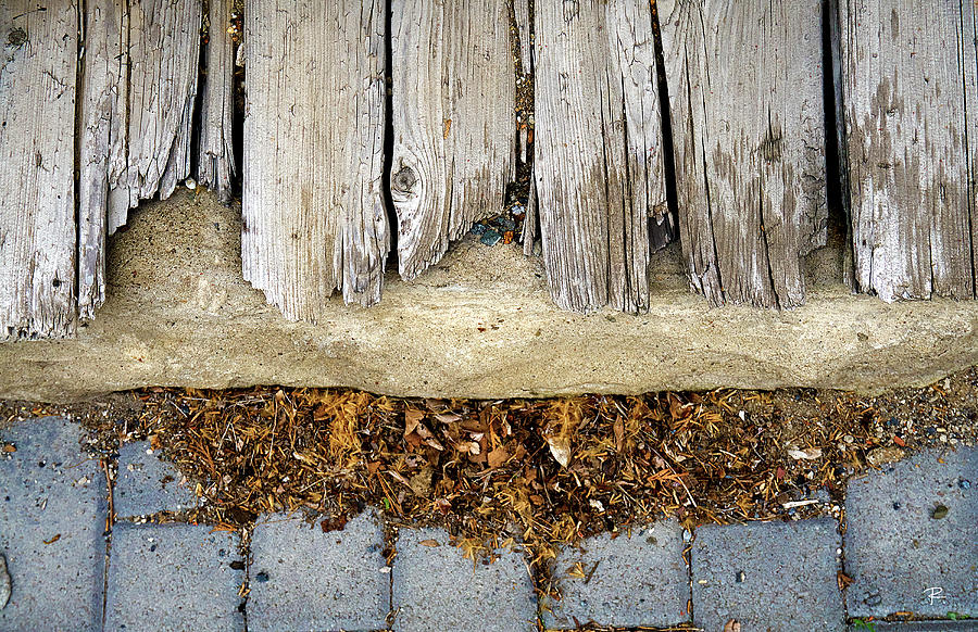 Weathered Photograph by Tom Romeo