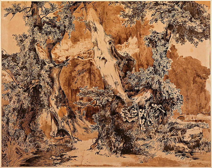Weathered Tree Trunks in a Park Drawing by Carl Blechen