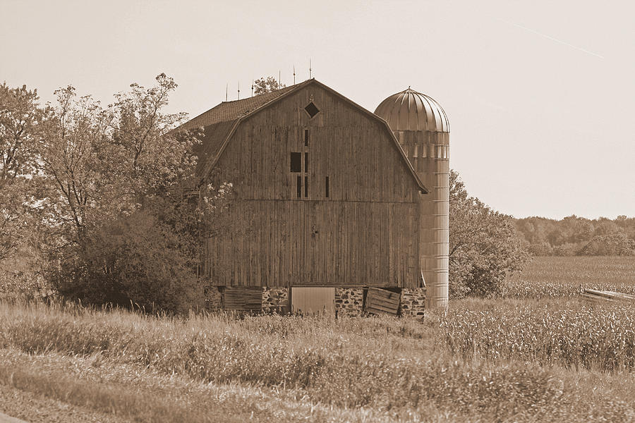 Weathered Wisconsin Barn In Sepia Photograph by Kay Novy