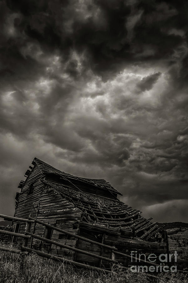 Weathering another storm Photograph by David Hillier