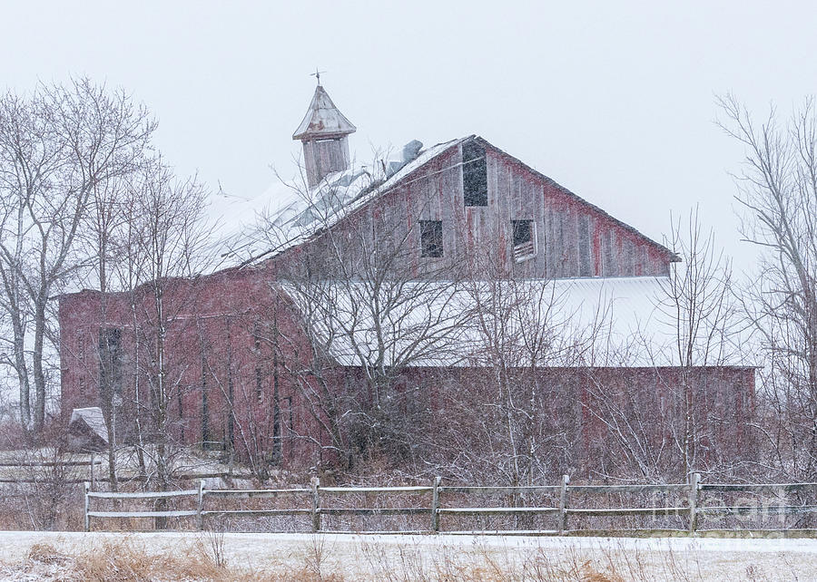 Weathering another storm Photograph by Randy Jacobs - Fine Art America