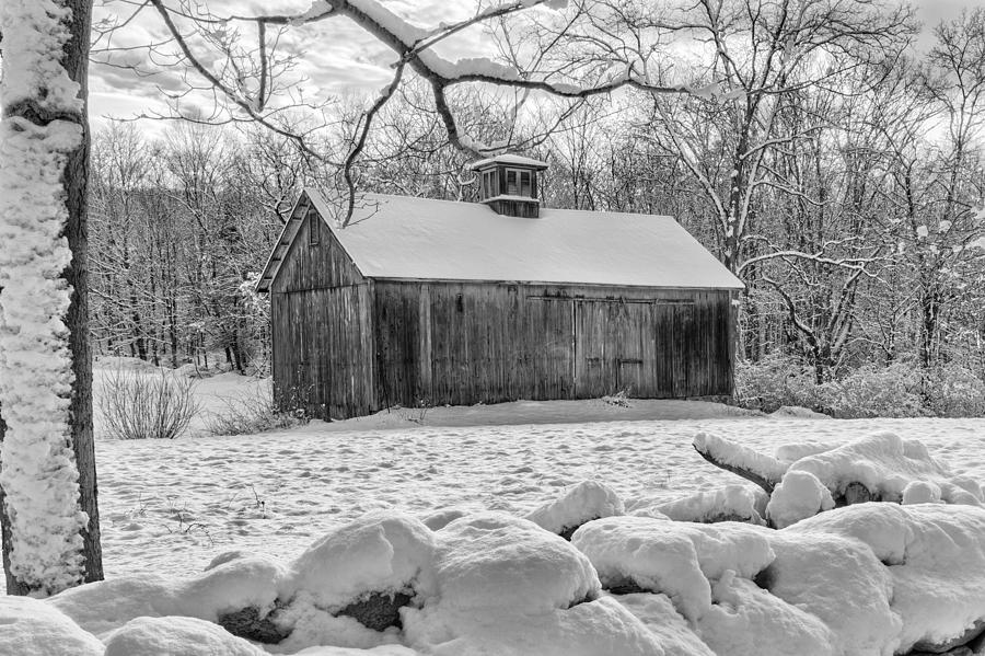 Weathering Winter bw Photograph by Bill Wakeley