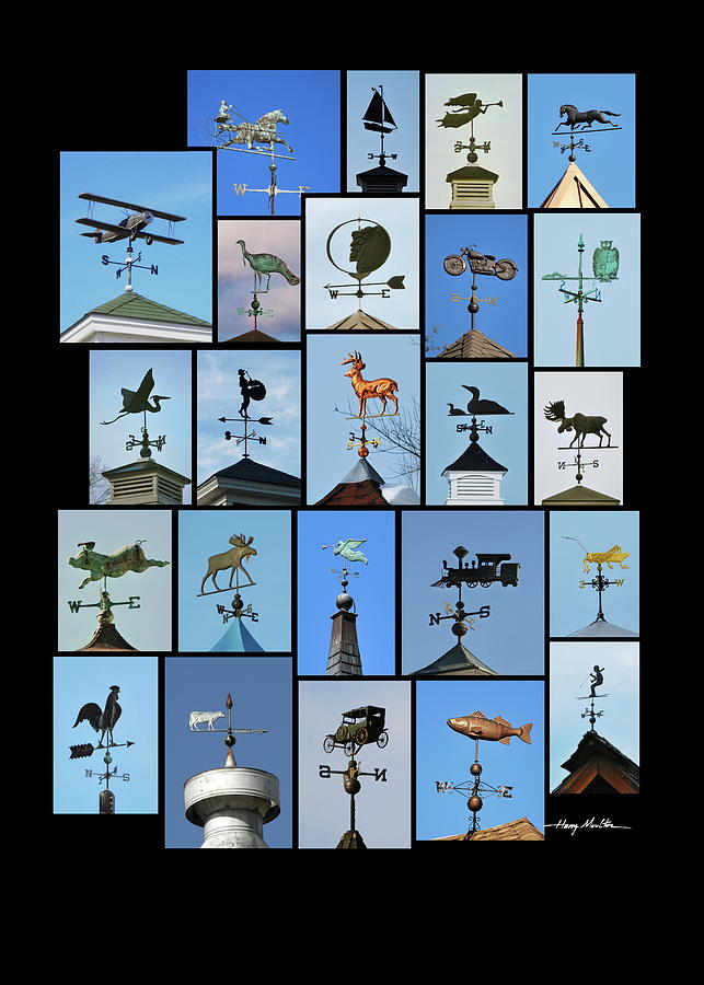 Weathervanes Photograph by Harry Moulton