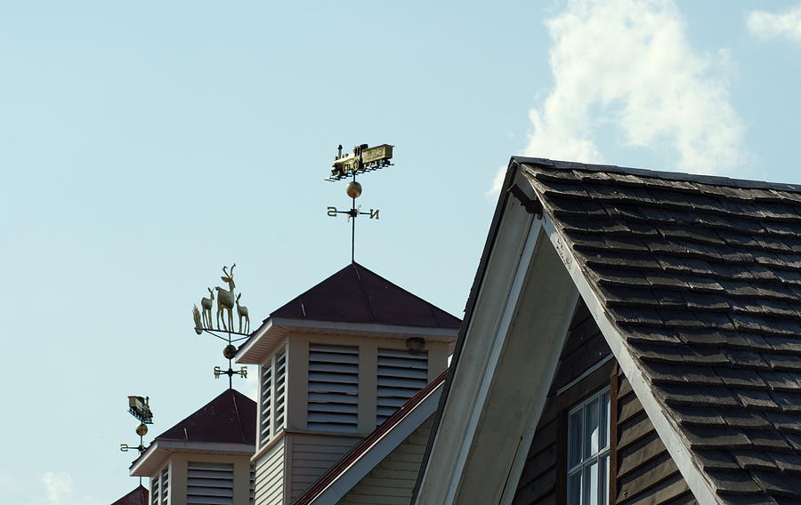 Weathervanes Photograph by Lois Lepisto