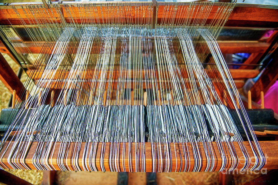 Weavers Loom Photograph by David Arment