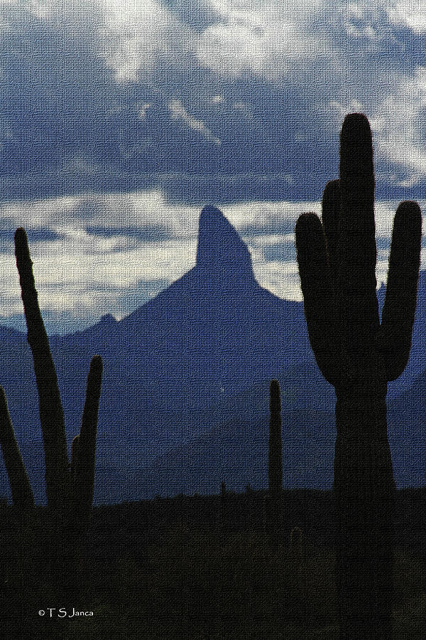 Weavers Needle And Cloudy Sky With Saguaro Cactus Digital Art by Tom Janca