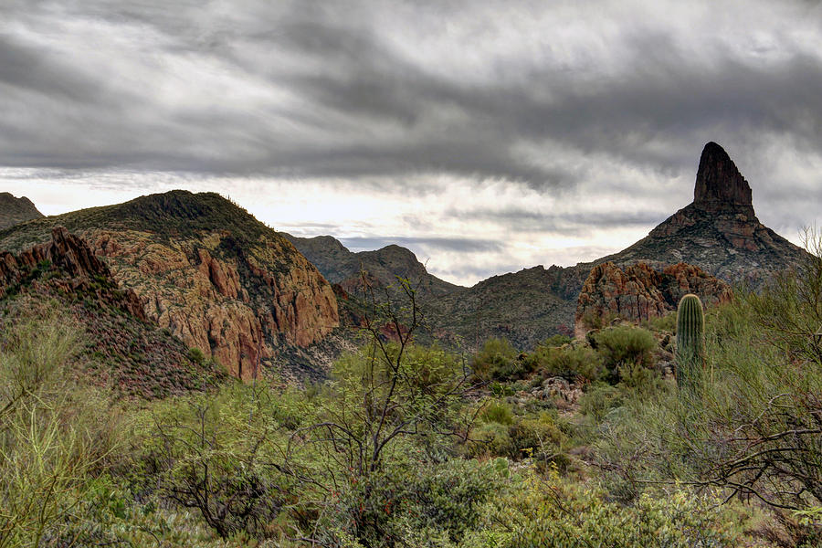 Weaver's Needle Photograph by Craig Eaton - Fine Art America