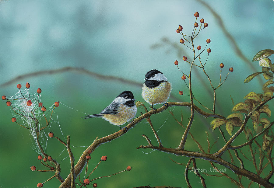 Web Chickadees Painting by Anthony J Padgett