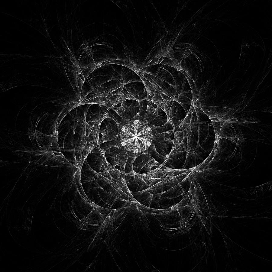 Web Circles in Black and White Digital Art by Angie Tirado