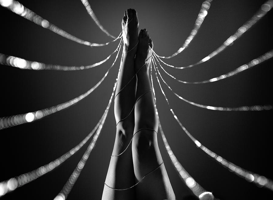 Web of Desire Photograph by Dario Impini