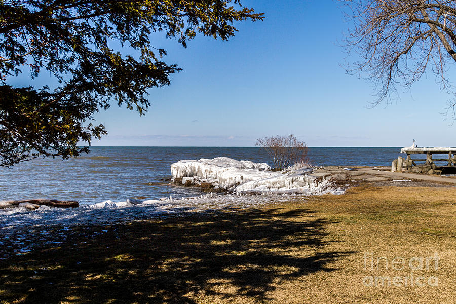 Webster Park Photograph by William Norton