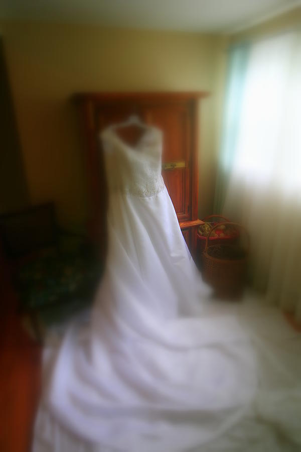 Wedding Dress In Waiting Photograph by Emery Graham