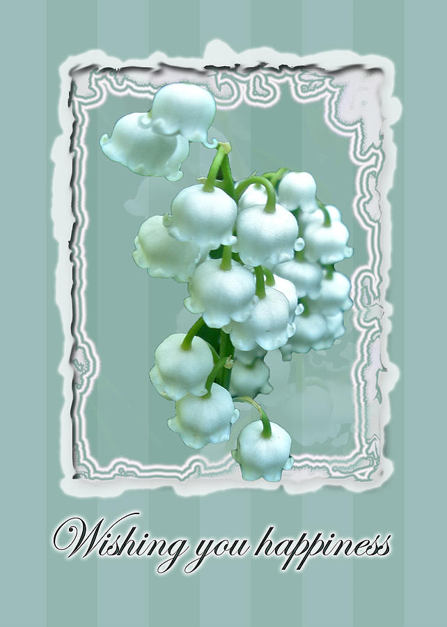 Wedding Happiness Greeting Card - Lily of the Valley Flowers Photograph by Carol Senske