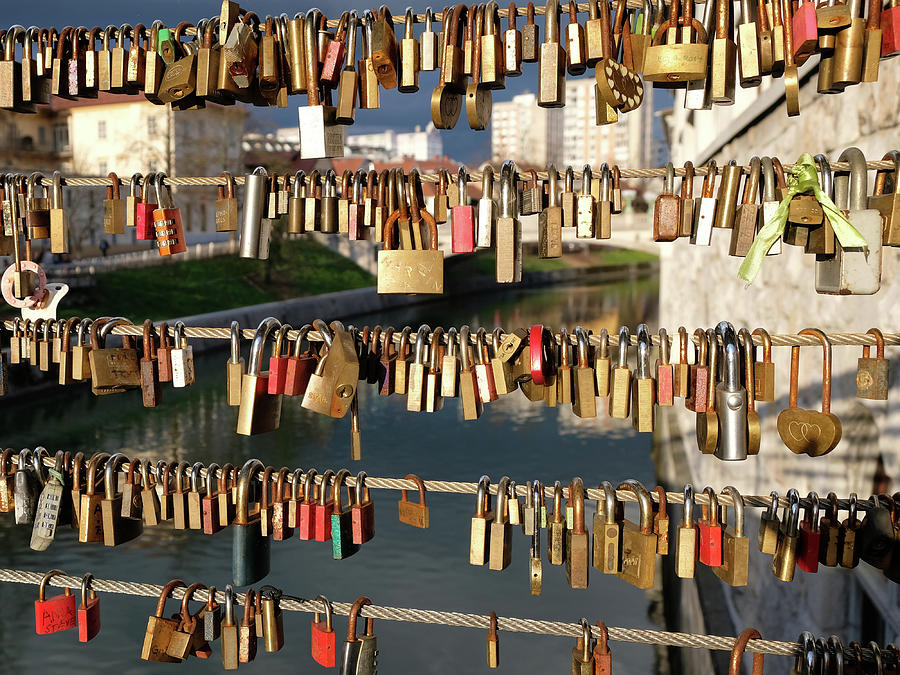 Slovenia Photograph - Wedding Locks Tradition by Olga Kurygina Slovenia Photograph - Wedding Locks Tradition by Olga Kurygina