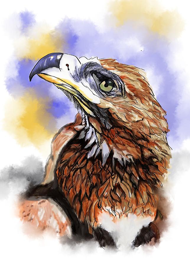 Wedgetailed Eagle Australian Bird Painting by Lorraine Kelly