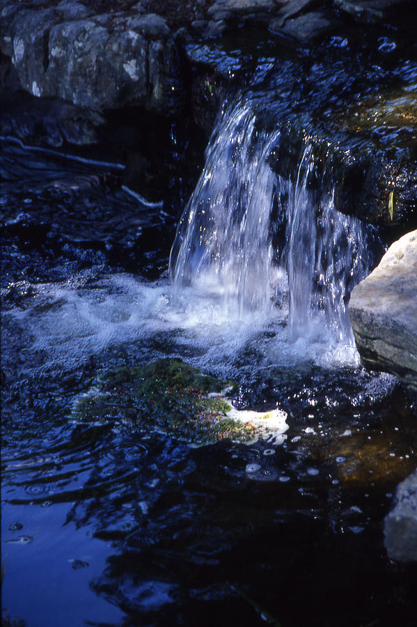 Nashville Photograph - Wee Waterfall - 1 by Randy Muir