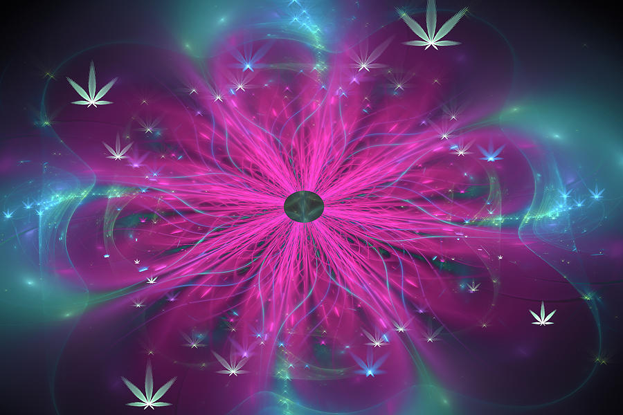 Weed Art purple and blue Fractal Cannabis flower Digital Art by Matthias Hauser