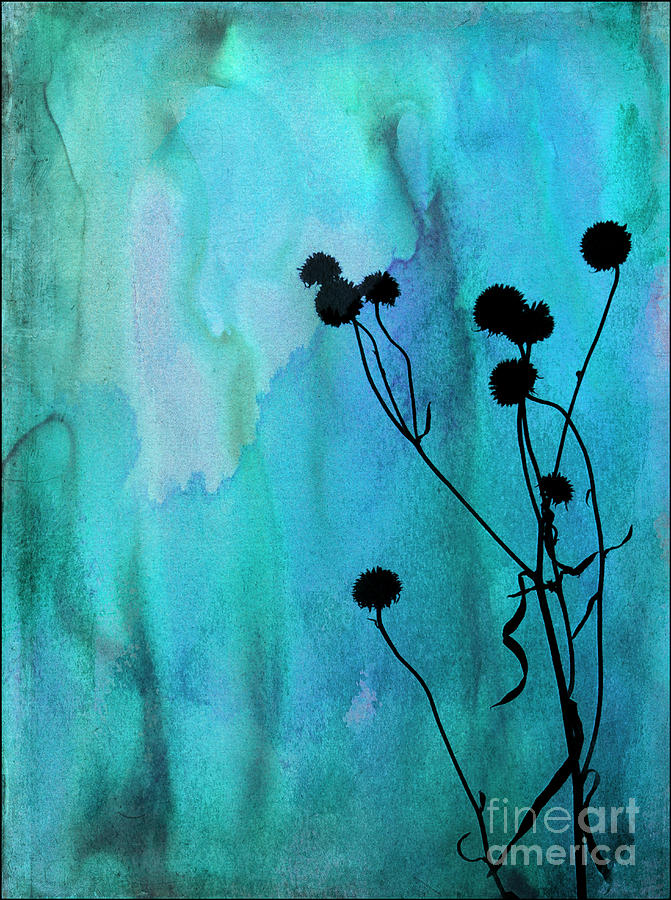 Weeds in Watercolor Photograph by Judi Bagwell