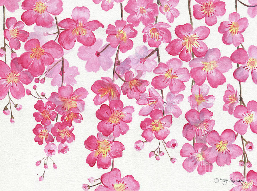 Spring Painting - Weeping Cherry Blossom by Melly Terpening
