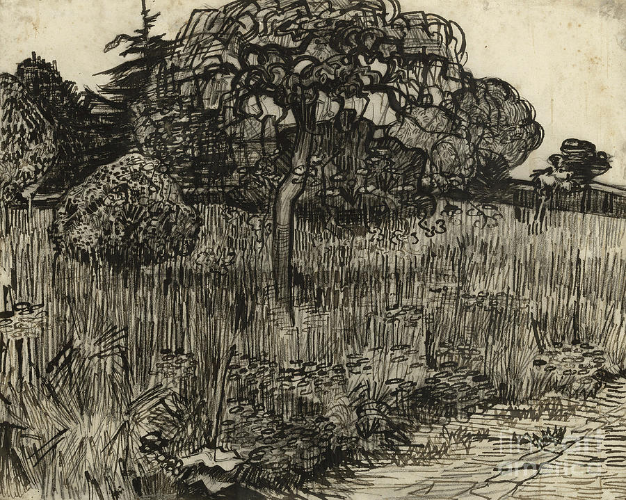 Weeping Tree by Van Gogh Drawing by Vincent Van Gogh