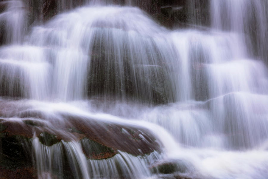 Spring Photograph - Weeping Wall by Mike Lang