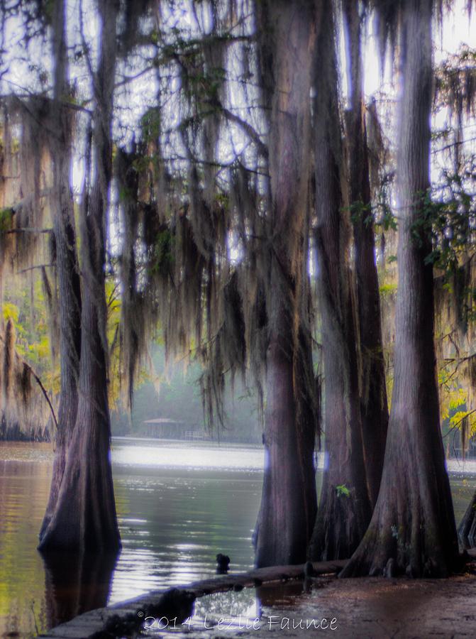 Weeping Waters Photograph by Lezlie Faunce Fine Art America