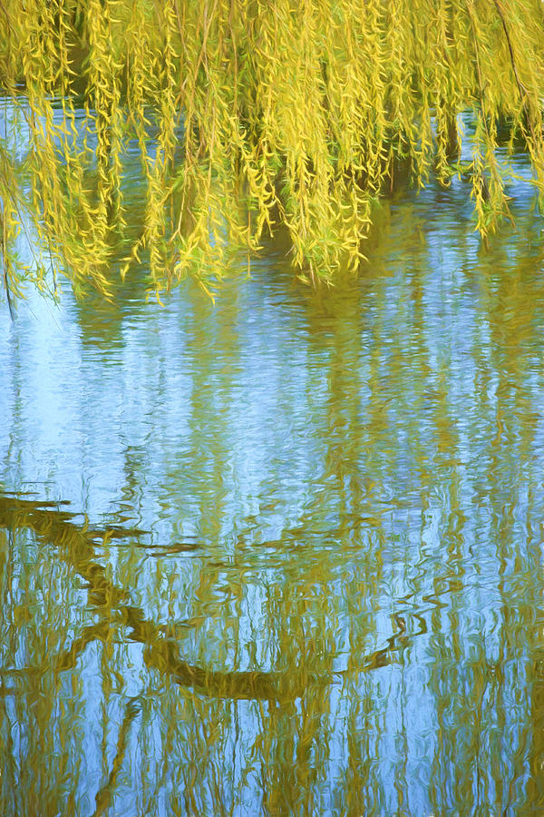 Weeping Willow - Reflections in Water Photograph by Nikolyn McDonald