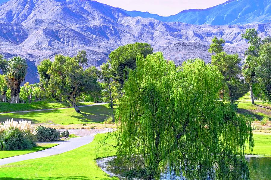 Weeping Willow Tree in Desert Scene Photograph by Kirsten Giving