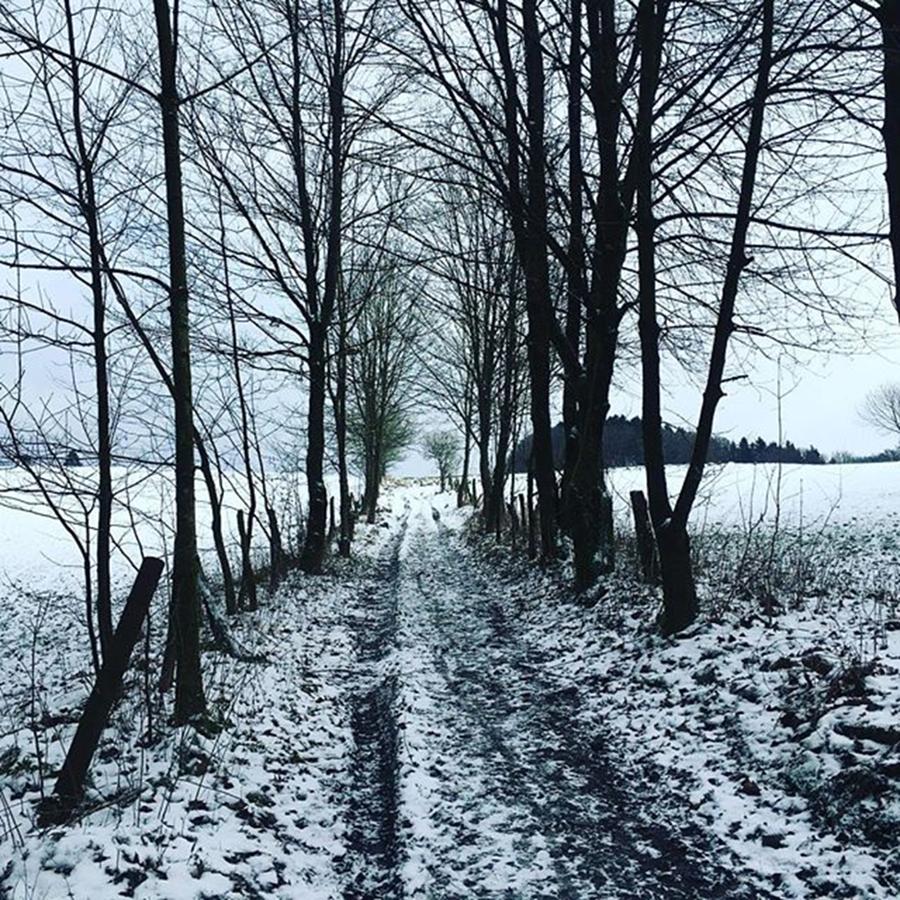 Winter Photograph - Weg Im Bergischen #walk #path #way by Sabina Balaguer