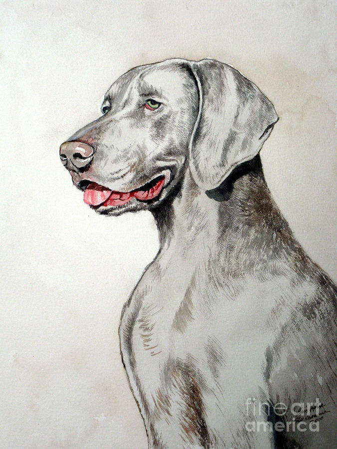 Weimaraner Painting by Christopher Shellhammer