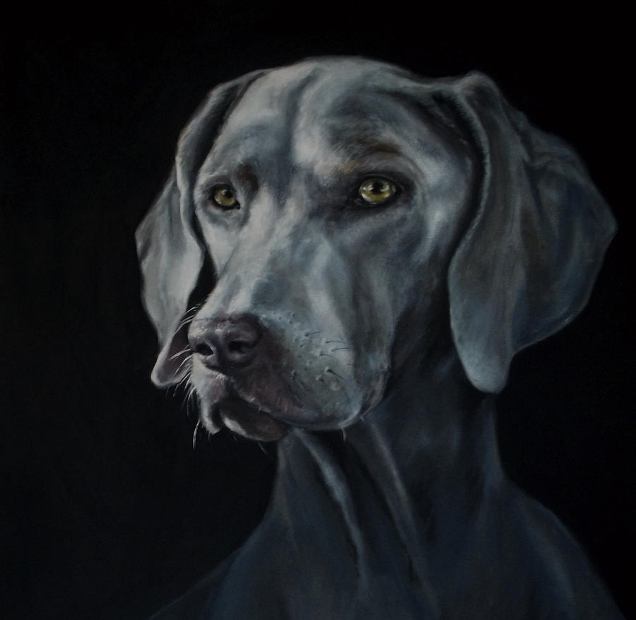 Weimaraner Painting by Matt Johnson | Fine Art America