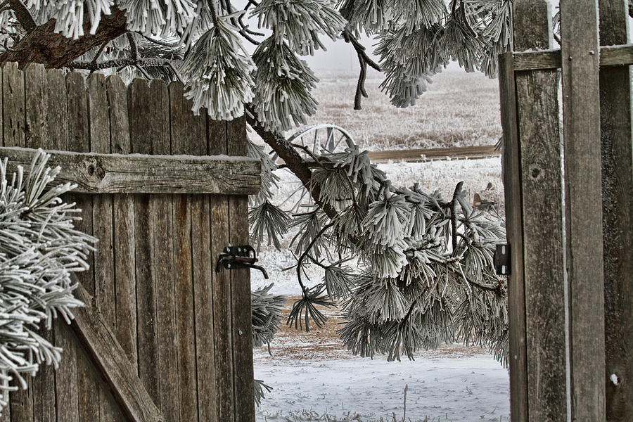 Winter Photograph - Welcome by Alana Thrower