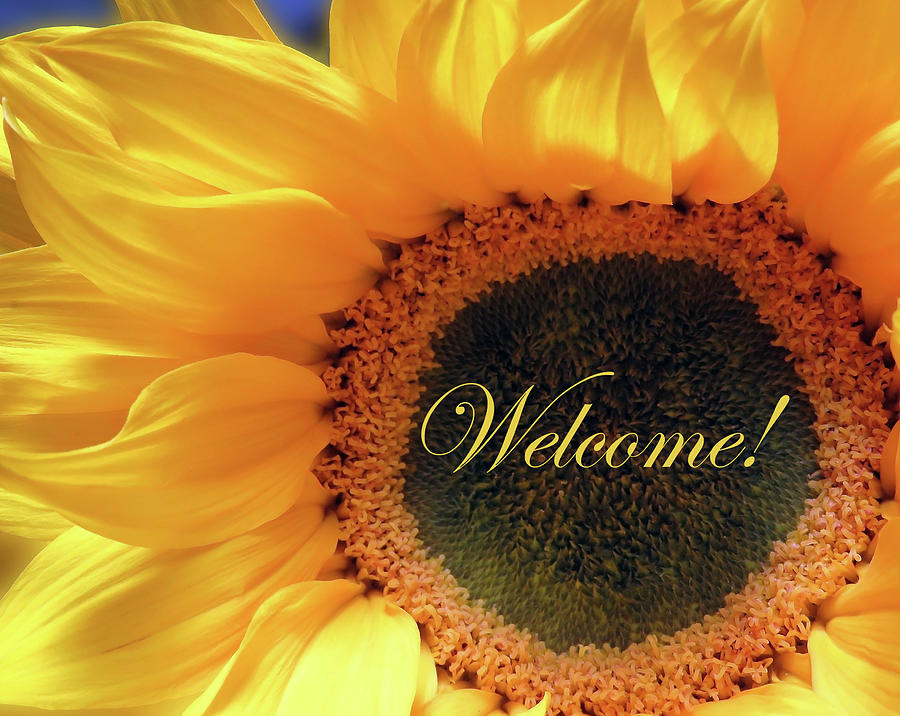 Welcome Card With Sunflower Photograph by Johanna Hurmerinta