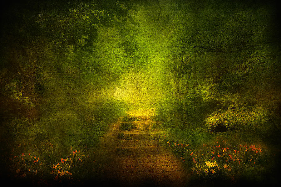 Nature Digital Art - Welcome Path by Svetlana Sewell