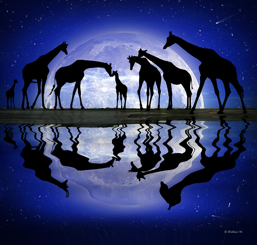 Animal Digital Art - Welcome - Reflection by Brian Wallace